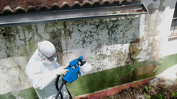Top rated local Mold Remediation specialists in Hunt Valley, MD